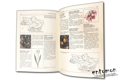 Энциклопедия для детей «Растения и животные Украины» - Детские книги в  интернет-магазине Toys
