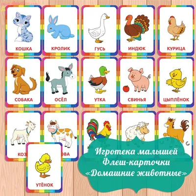 карточки домашние животные с названием скачать для распечатки | Цветные  игры, Дети, Для детей