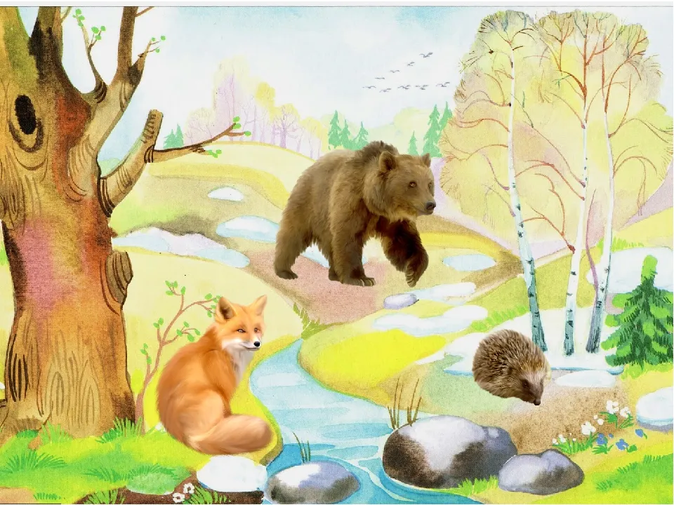 Весенний лес для дошкольников. Дикие животные весной для детей. Звери весной в лесу. Дикие животные в лесу для детского сада.