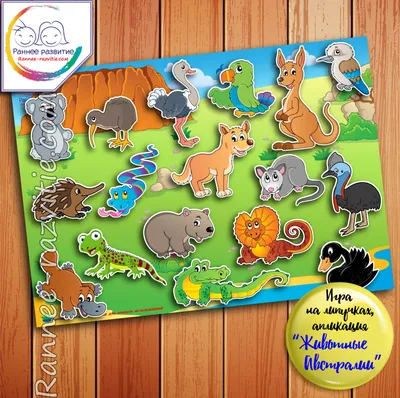 Карточки развивающие РУЗ Ко Животные Австралии. Интересные факты купить по  цене 280 ₽ в интернет-магазине Детский мир