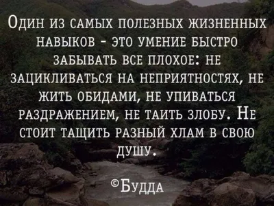 0 Великий Мастер, я столько лет бьюсь над загадкой смысла жизни! Ты самый  мудрый человек на Земле, / cynic mansion :: Смешные комиксы (веб-комиксы с  юмором и их переводы) / смешные картинки