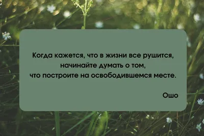 Иллюстрация 46 из 74 для Обними меня крепче. 7 диалогов для любви на всю  жизнь - Сью