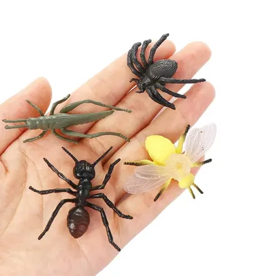 Коллекция, искусственный жук, шуточные игрушки, игрушка в виде насекомых,  Детская имитация жука, специальная реалистичная модель, игрушки в виде жука  | AliExpress