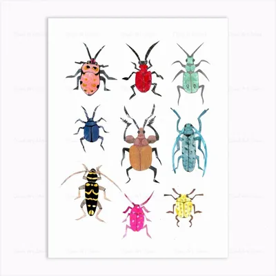 Beetle (пазл детский) арт Vm009 Dabitoy по цене 28 грн: купить деревянные  пазлы в интернет-магазине «КЕША».