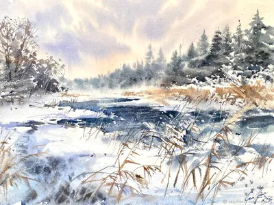 Ландшафт акварели.. Зима в лесу Стоковое Изображение - изображение  насчитывающей ново, пейзаж: 173579559