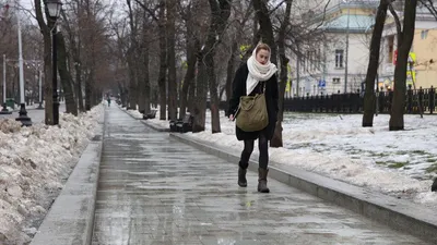 Зима без снега может привести к проблемам для природы и человека -  Российская газета