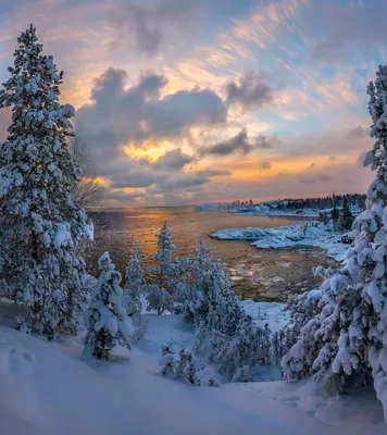 Beautiful seasons - Зима - декабрь, январь, февраль. Период затишья,  длительного сна природы. | Facebook