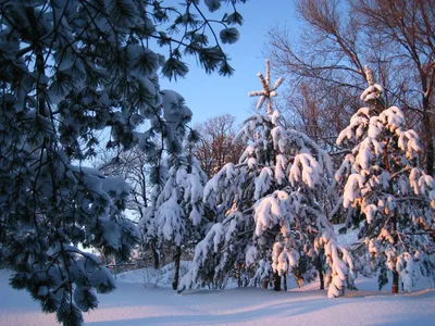Вот и наступил декабрь. Первое число, первый день зимы по... | Интересный  контент в группе Красивые вещи (Oldschool) | Пейзажи, Горный закат,  Живописные пейзажи
