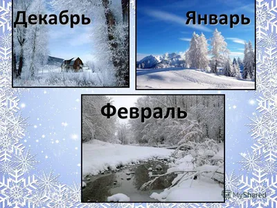 Зима, декабрь. | Ирина Расшивалова для Вас | Дзен