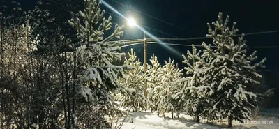 зима, декабрь, Смоленская область :)))