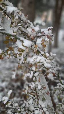 Зима, декабрь 2023 | Пикабу