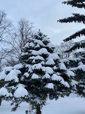 Зима в городе, вечер. Фотограф Вера Ра