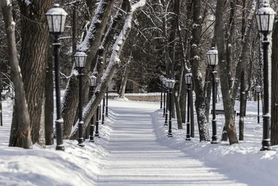 Фотография Первый день зимы. из раздела город #7101283 - фото.сайт -  sight.photo