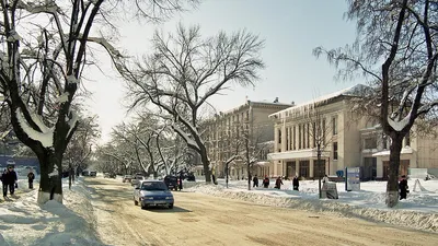 Синоптик: декабрь будет морозным, но малоснежным | Новости | СеровГлобус.ру