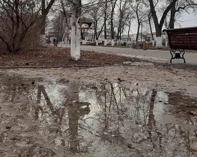 Абсолютно аномально». Синоптики дали неожиданный прогноз на декабрь