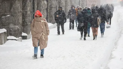 Земляничный декабрь: придет ли в Борисоглебск настоящая зима к Новому году