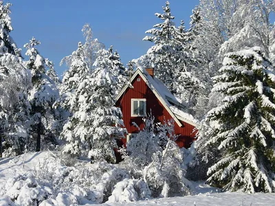 Скачать 2048x1367 польша, домик, лес, снег, зима обои, картинки