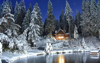 Дом в снежных лесу зимой стоковое изображение. изображение насчитывающей  строя - 170965211