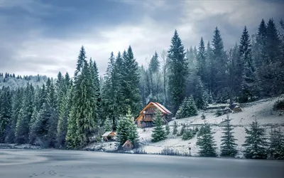 Одинокий домик в зимнему лесу — Фото №1432690
