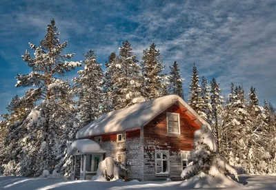 Домик в лесу зимой (141 фото) - 141 фото