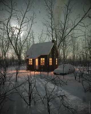 Обои снег, лес, дом, дом в лесу, зима, новый год, коттедж на рабочий стол