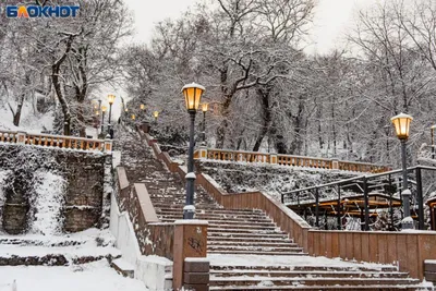 А в Москве уже зима. Жителям столицы пообещали дожди с мокрым снегом