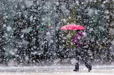 Москва, я люблю тебя - УТРО. СНЕГ. ДОЖДЬ Доброе утро, Москва! Сегодня  столицу присыпало первым снежком. Днём ожидается ледяной дождь🥶👇🏼  Синоптики прогнозируют, что метеорологическая зима придёт в Москву уже  после 15 ноября.