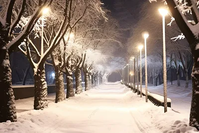 Фонарь Свет Зима - Бесплатное фото на Pixabay - Pixabay