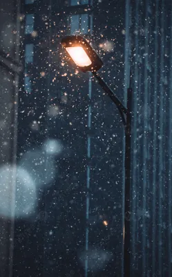 обои : ночь, снег, Зима, фонарь 1920x1200 - WallpaperManiac - 1396811 -  красивые картинки - WallHere