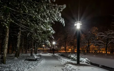 Зимняя аллея в парке и сияющие фонари Ночной выстрел Зима Стоковое Фото -  изображение насчитывающей естественно, холодок: 164133470