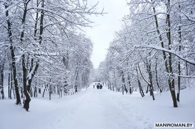 Картинки Зима