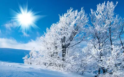 Синоптики назвали день, когда в Москве начнется полноценная зима