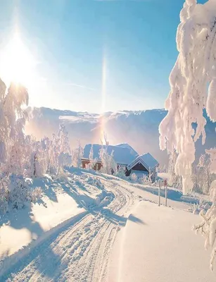 Солнечно. Зима | Снег | Дома | Солнце | Зимняя дорога | Winter mornings,  Norway, Winter pictures