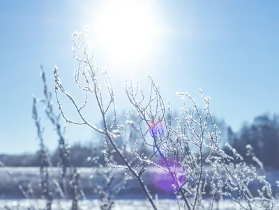 Солнце – на лето, зима – на мороз: наступил день зимнего солнцестояния