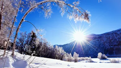 Картинки Природа, зима, солнце, горы, дерево, снег - обои 1920x1080,  картинка №31370