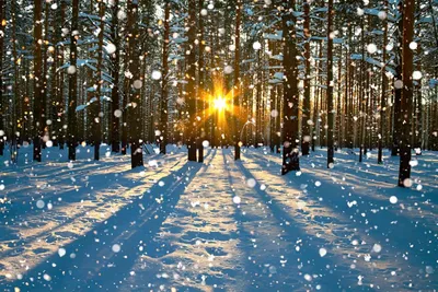 Доктор рассказал, чем компенсировать зимой недостаток солнца - Российская  газета