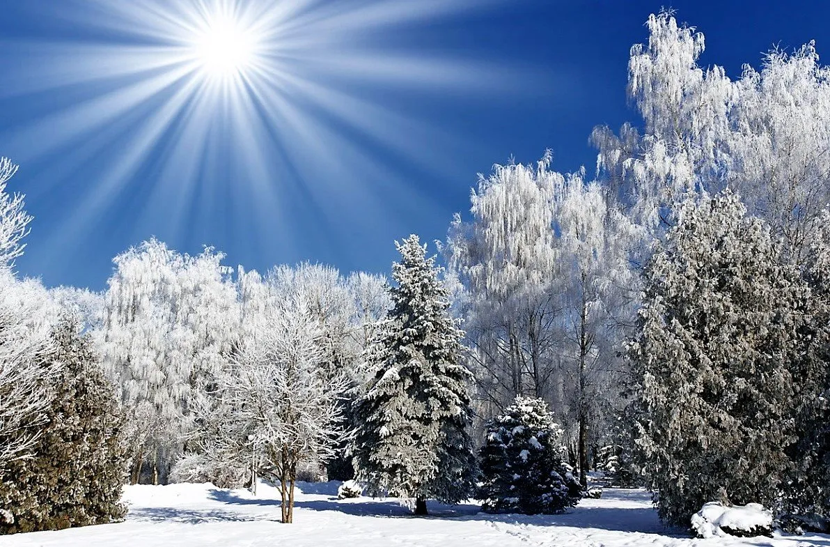Зима. Зимняя природа. Зима солнце. Зимний день. Солнечный день январь