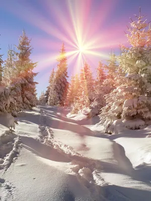 Зима солнце (27 фото) - 27 фото