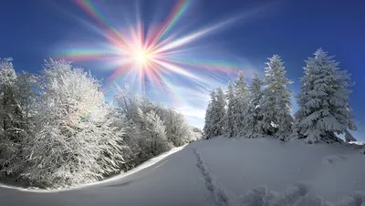 Fotos Lichtstrahl Sonne Natur Winter Fichten Schnee Jahreszeiten