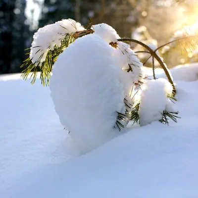 Мороз и солнце: какой будет погода в Казахстане 14-16 января - 13.01.2023,  Sputnik Казахстан