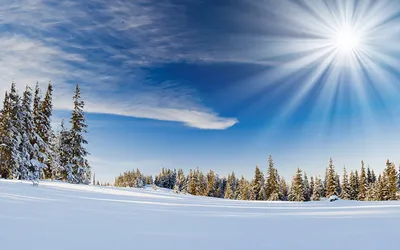 Фотография Лучи света зимние Солнце Природа Небо снеге