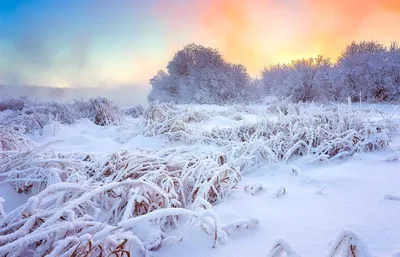 Кому зима, а кому почти весна: синоптики дали прогноз на январь и февраль -  PrimaMedia.ru