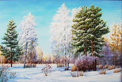 Зима в деревне. Пермский край, январь 2022 год — Фото №1395168