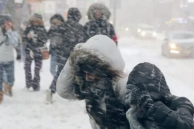 Красная Поляна в январе: отдых и погода в Красной Поляне (Россия)