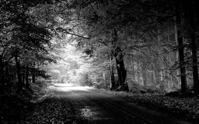 Пейзаж зимний черно белый рисунок - 65 фото
