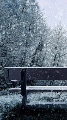 Фото Плакучая Ива, Зима - фотограф Leo NucLeon - пейзаж, черно-белые,  фрагмент - ФотоФорум.ру