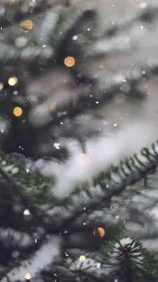 Winter ❄️ Wallpaper | Зимние картинки, Рождественские обои, Зимние сцены