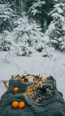 Скачать 938x1668 пикник, зима, рождество, уют, настроение, лес, снег обои,  картинки iphone 8/7/6s/6 for parallax