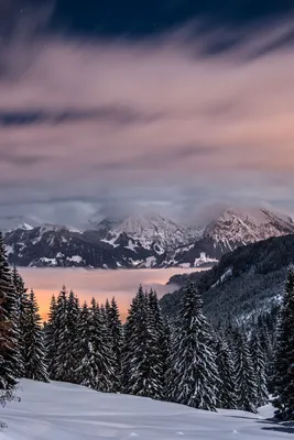 Скачать 800x1200 зима, горы, снег, деревья, бавария, германия обои,  картинки iphone 4s/4 for parallax