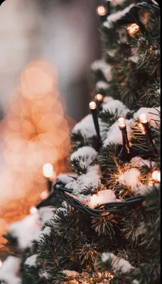 Фото обои зима | Wallpaper iphone christmas, Christmas wallpaper, Christmas  lights wallpaper